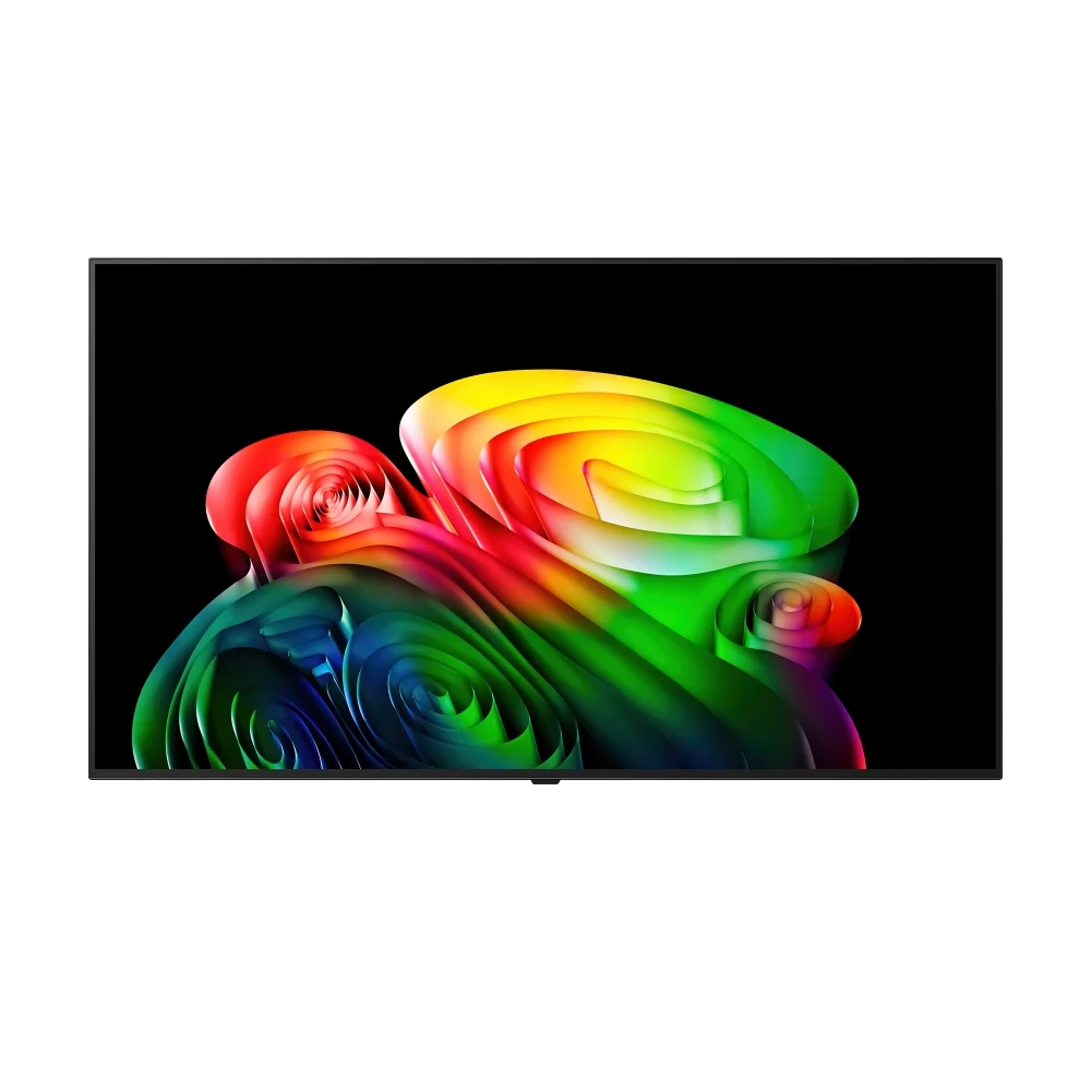 LG 올레드 AI (벽걸이형) OLED55B6KNA